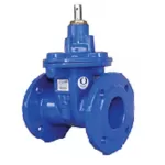 VAG EKO Gate Valve Flanged